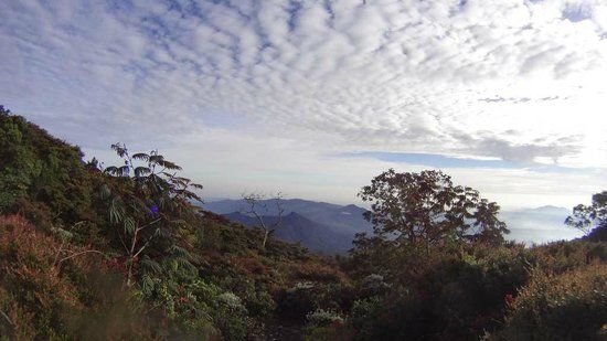 Mount Gede Pangrango National Park
